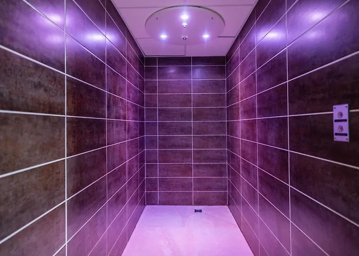 酒店 Golden Tulip And